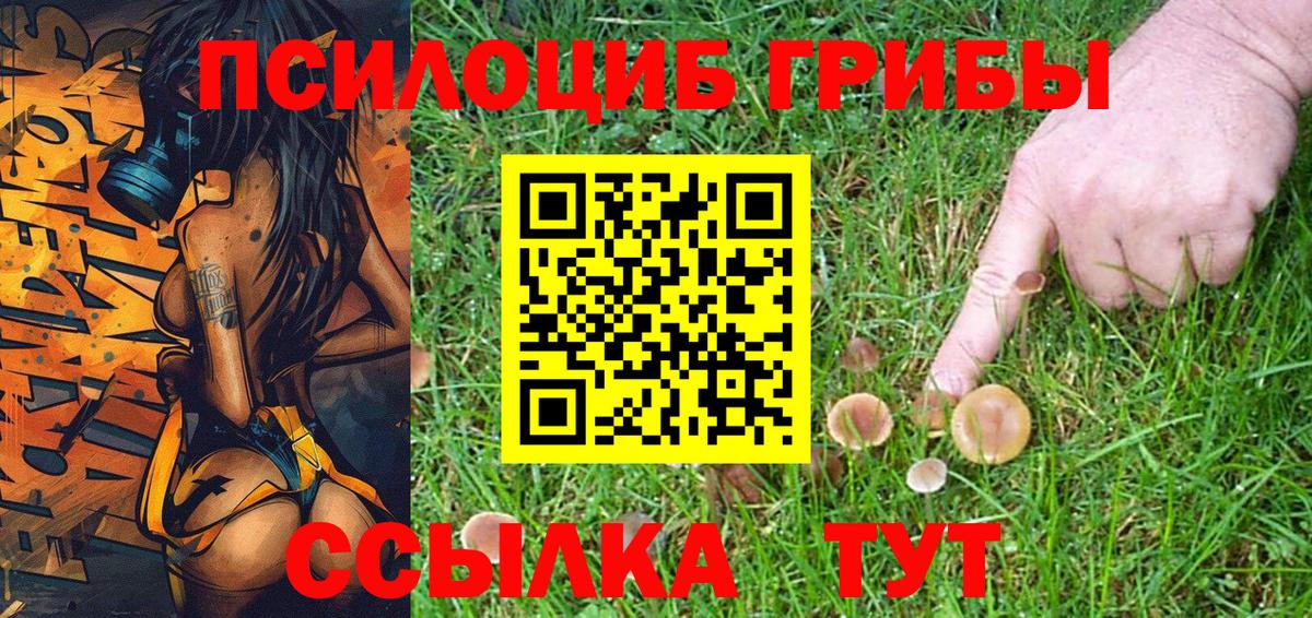 Галлюциногенные грибы Psilocybe  Вход с VPN  Мирный  Галлюциногенные грибы GOLDEN TEACHER 